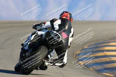 media/Jan-09-2022-SoCal Trackdays (Sun) [[2b1fec8404]]/Turn 12 Backside (130pm)/